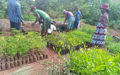 Visite de terrain, 2ème volet